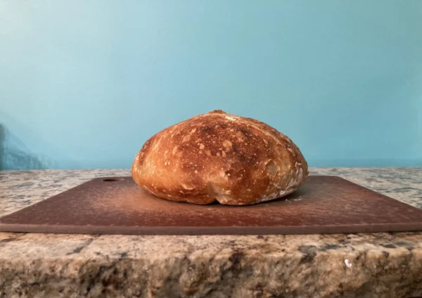 Plain Sourdough Round